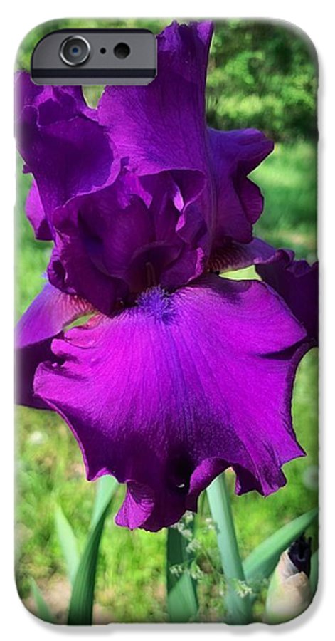 Violet Iris - Phone Case