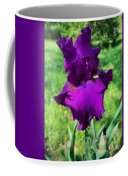 Violet Iris - Mug