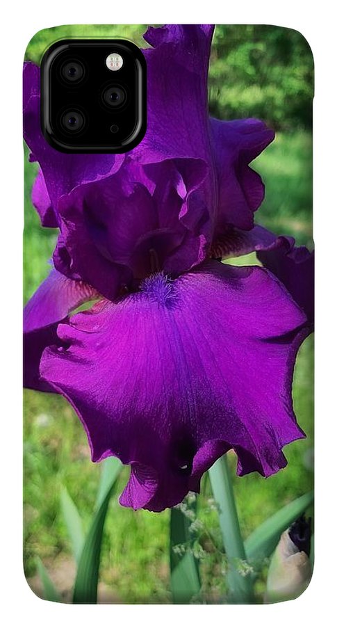 Violet Iris - Phone Case