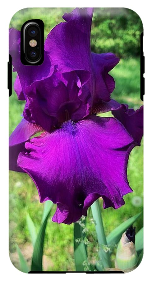 Violet Iris - Phone Case