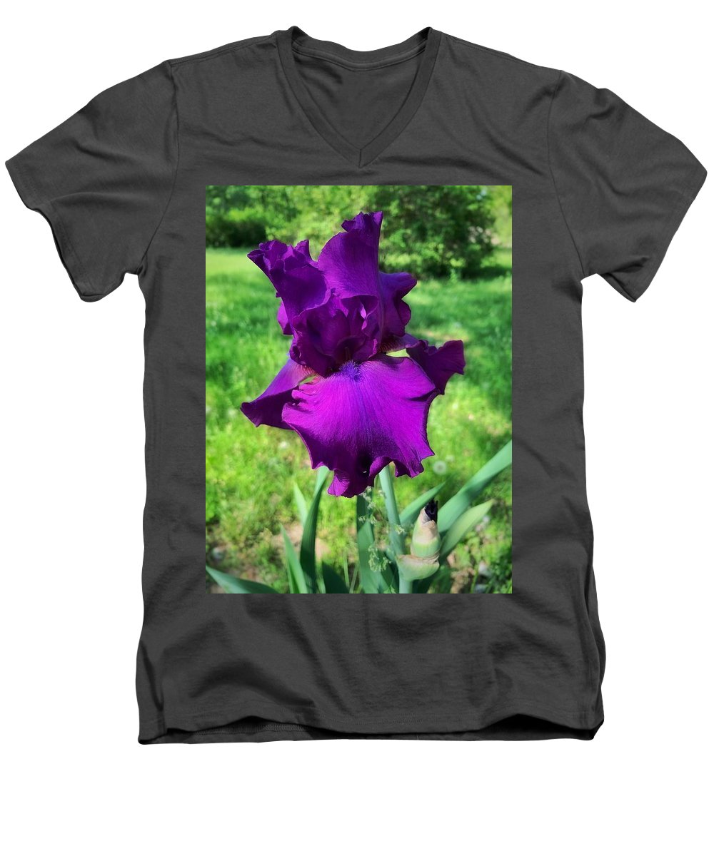 Violet Iris - Men's V-Neck T-Shirt