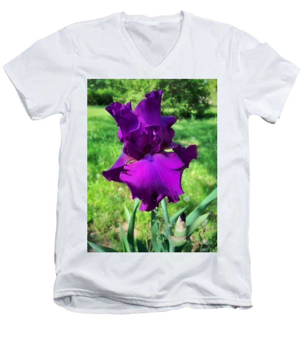 Violet Iris - Men's V-Neck T-Shirt