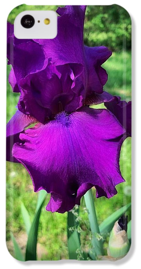 Violet Iris - Phone Case