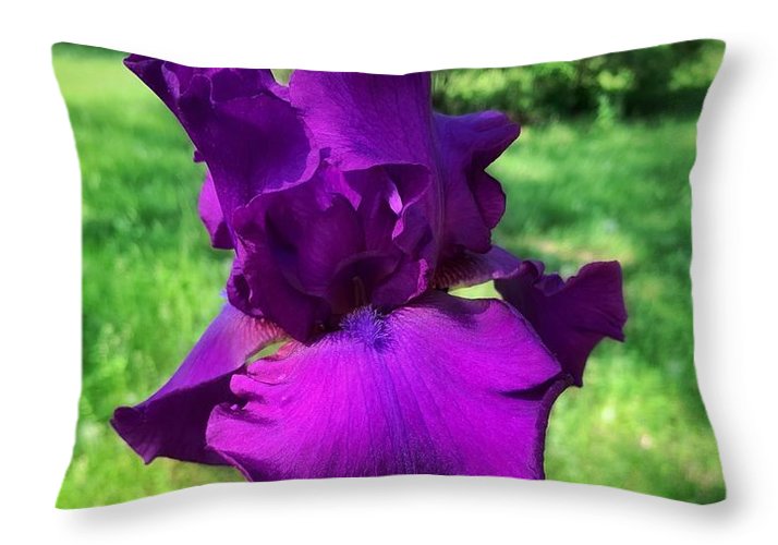 Violet Iris - Throw Pillow