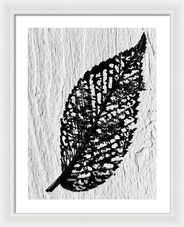 Weathered Leaf - Framed Print