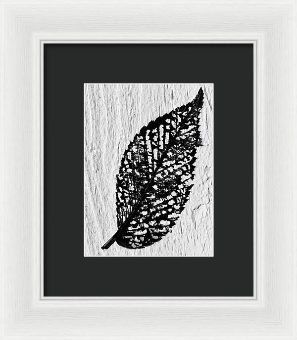 Weathered Leaf - Framed Print