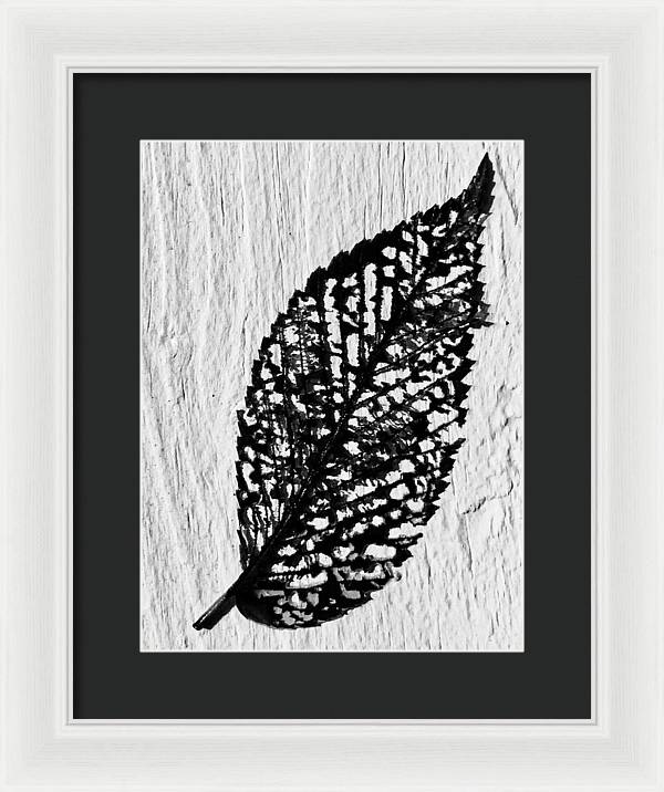 Weathered Leaf - Framed Print