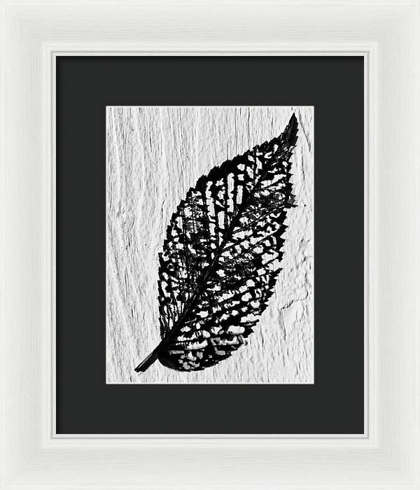 Weathered Leaf - Framed Print