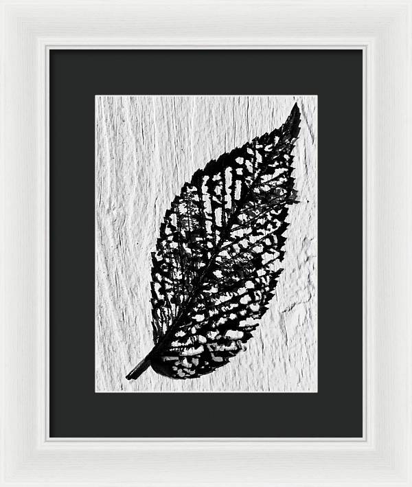 Weathered Leaf - Framed Print