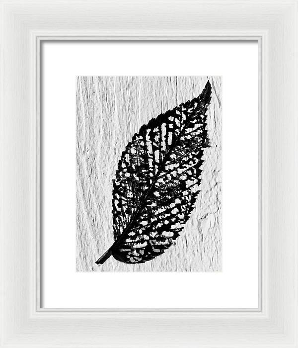 Weathered Leaf - Framed Print