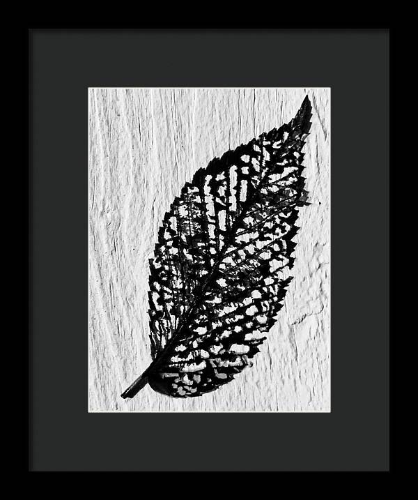 Weathered Leaf - Framed Print