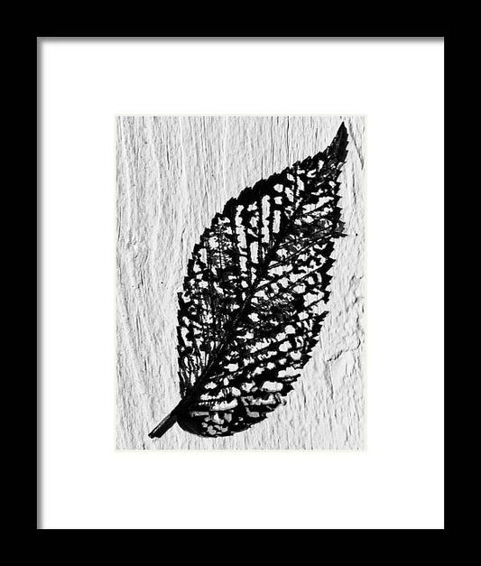 Weathered Leaf - Framed Print