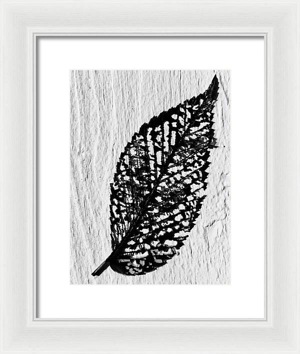 Weathered Leaf - Framed Print