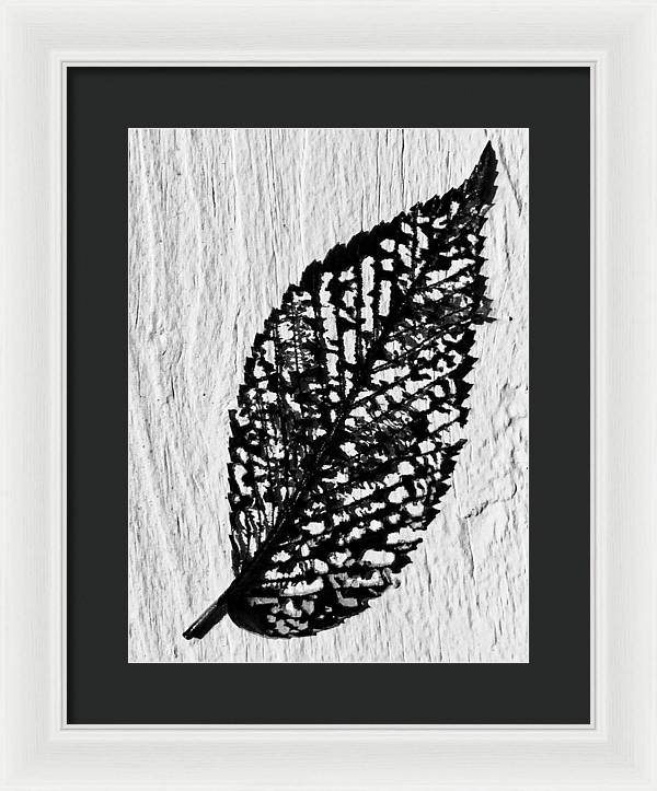 Weathered Leaf - Framed Print