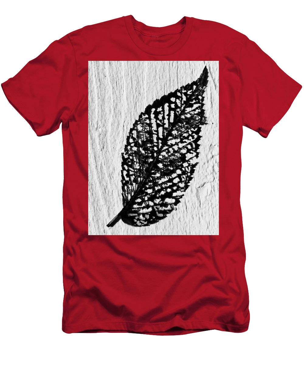 Weathered Leaf - T-Shirt