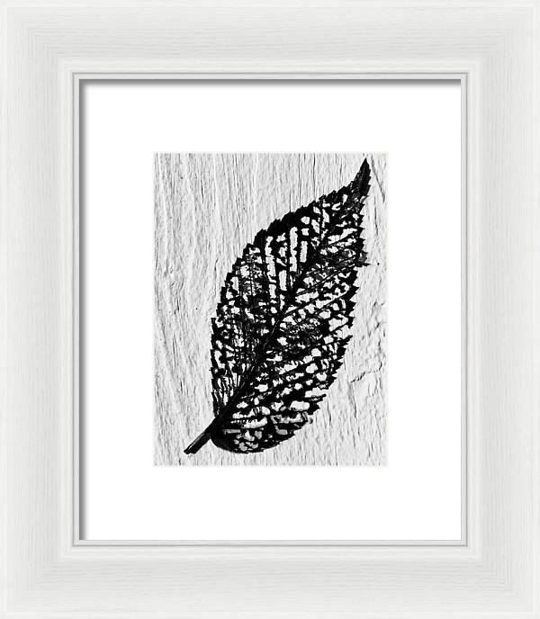 Weathered Leaf - Framed Print