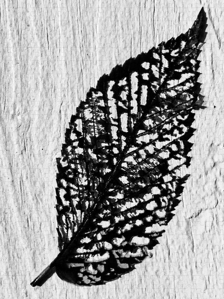 Weathered Leaf - Puzzle