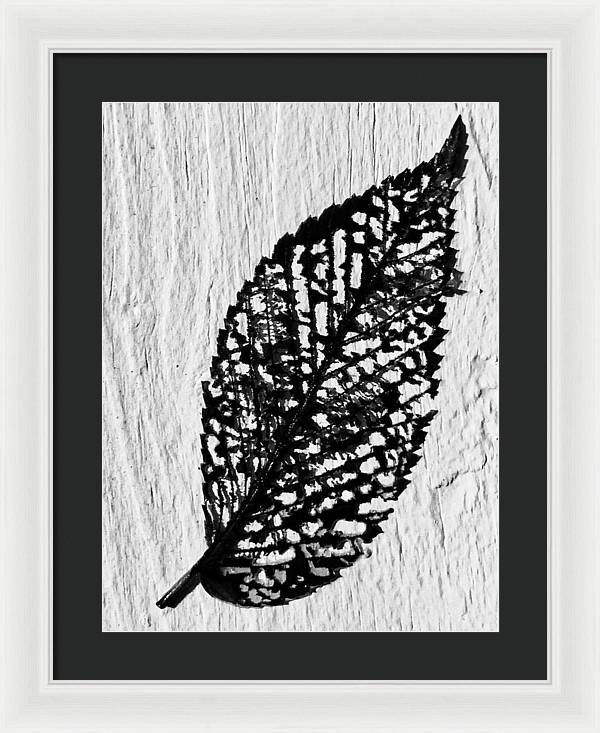 Weathered Leaf - Framed Print