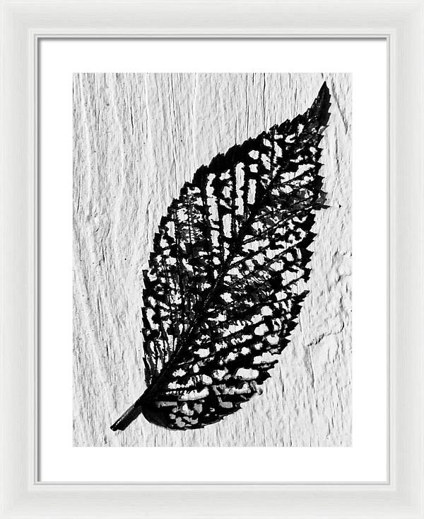 Weathered Leaf - Framed Print