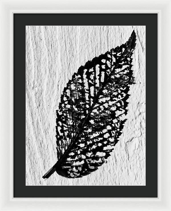 Weathered Leaf - Framed Print