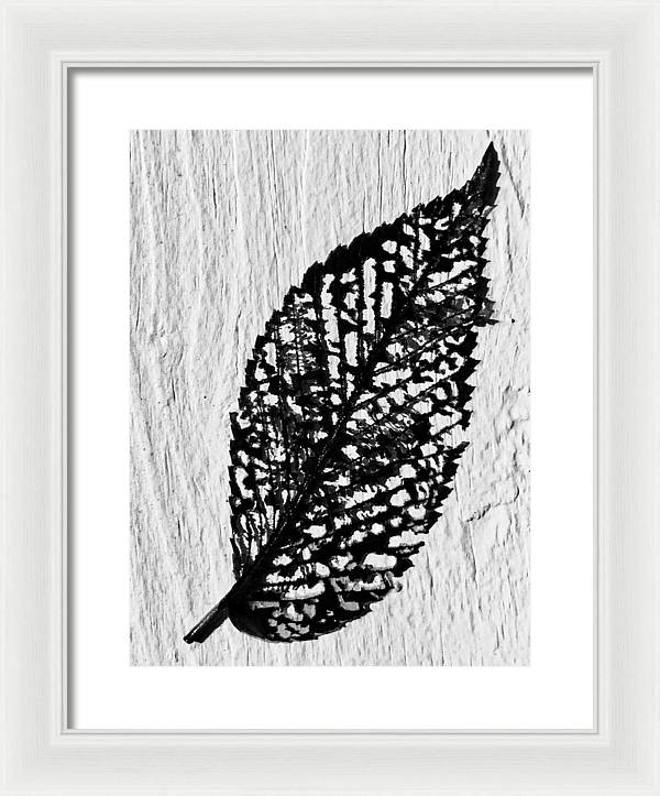 Weathered Leaf - Framed Print