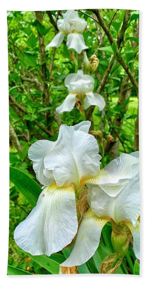 White Iris - Beach Towel