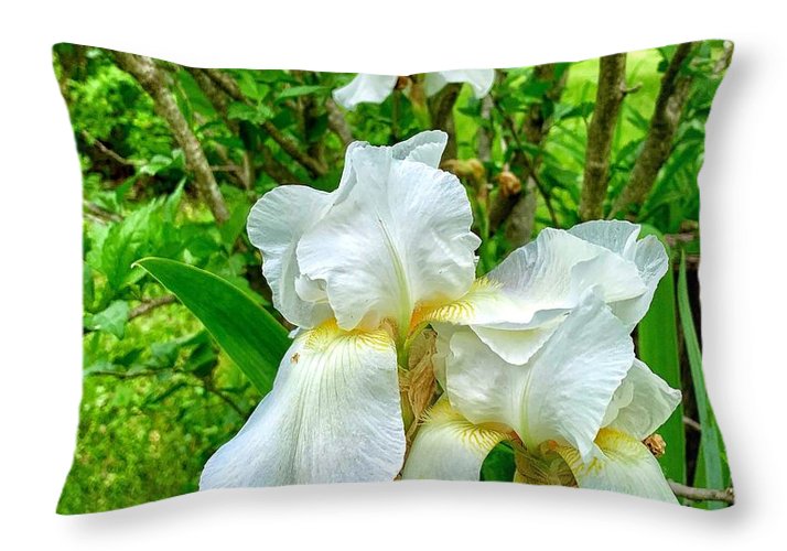 White Iris - Throw Pillow