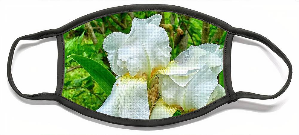 White Iris - Face Mask