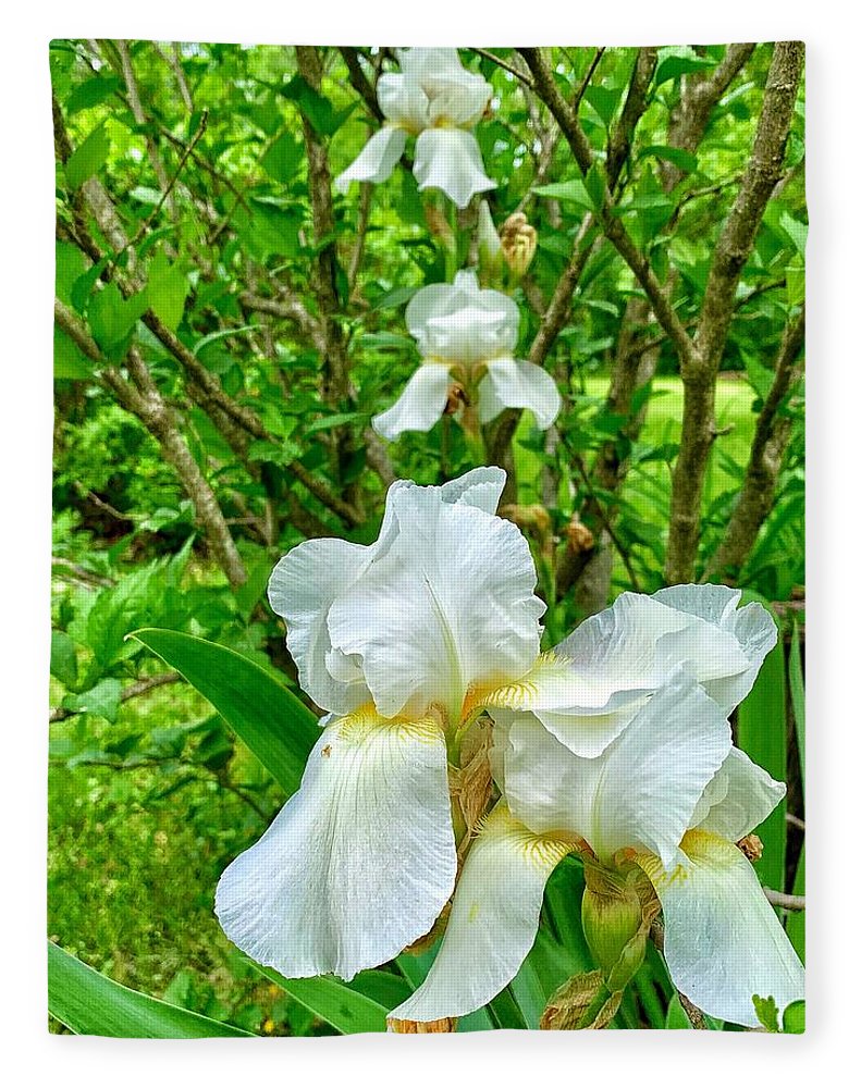 White Iris - Blanket