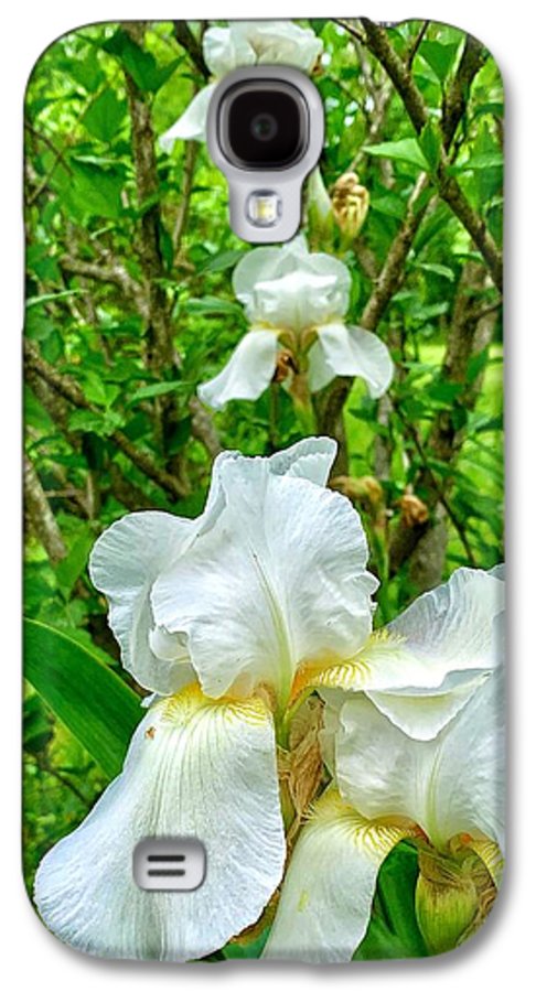 White Iris - Phone Case