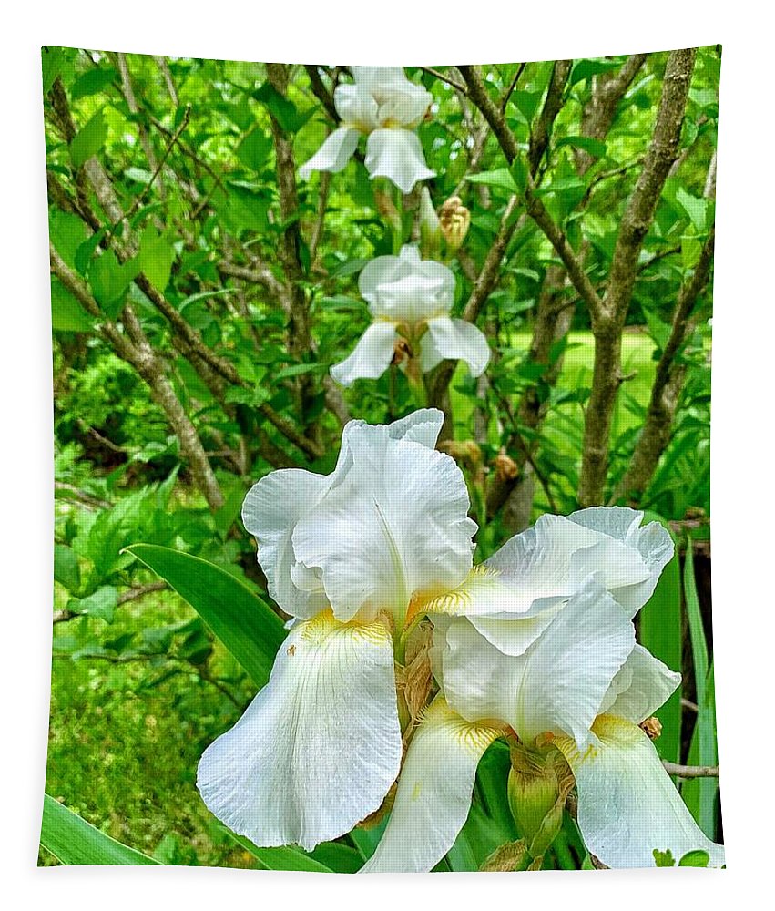 White Iris - Tapestry