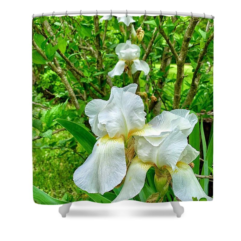 White Iris - Shower Curtain