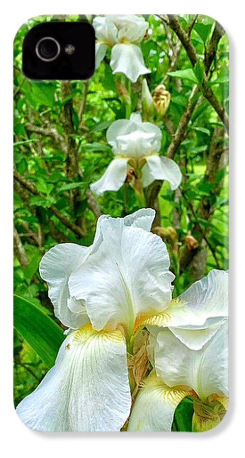 White Iris - Phone Case