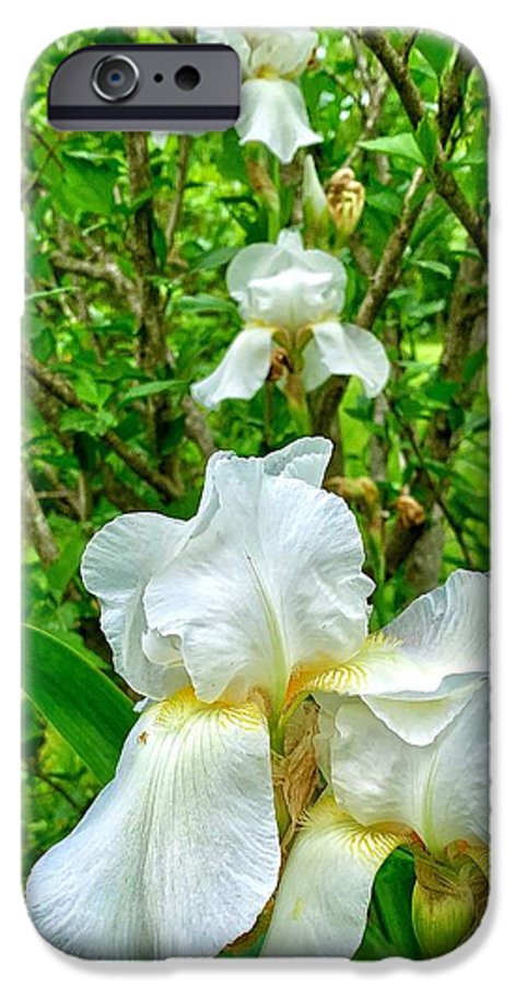 White Iris - Phone Case