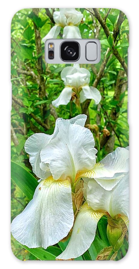 White Iris - Phone Case