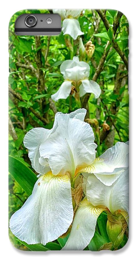 White Iris - Phone Case