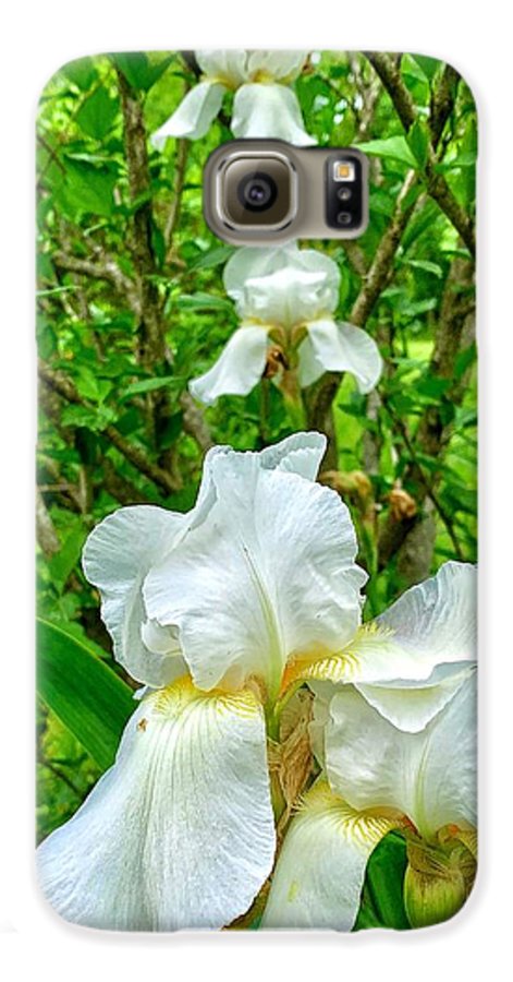 White Iris - Phone Case