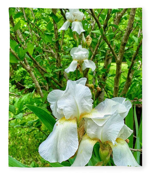 White Iris - Blanket