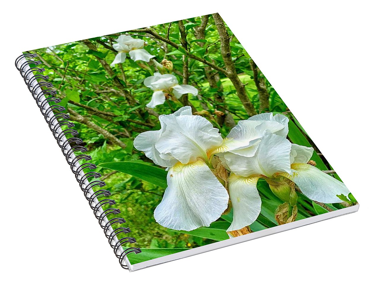 White Iris - Spiral Notebook