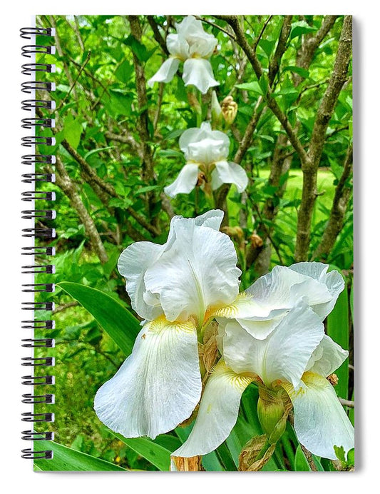 White Iris - Spiral Notebook