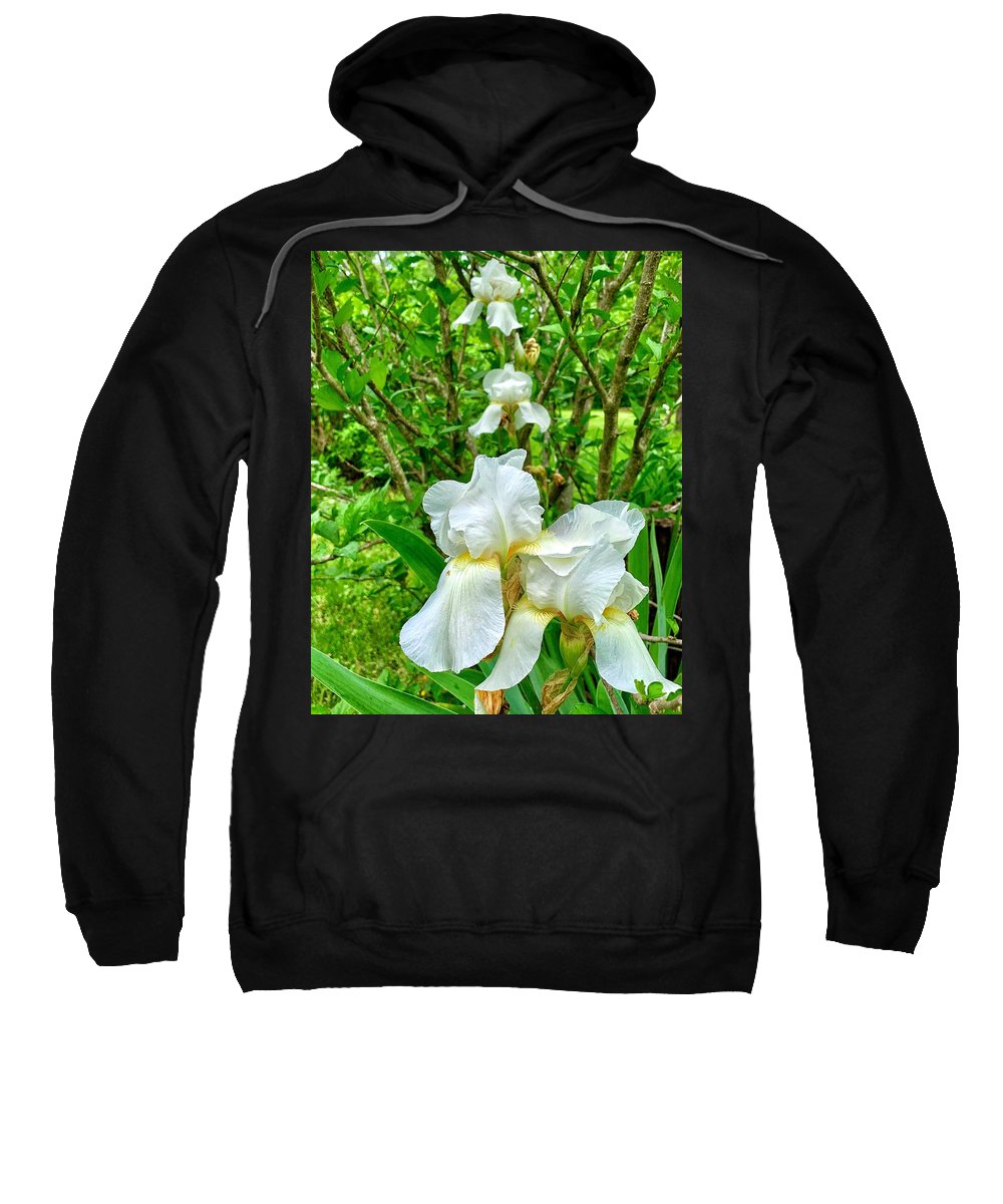 White Iris - Sweatshirt