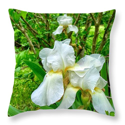 White Iris - Throw Pillow